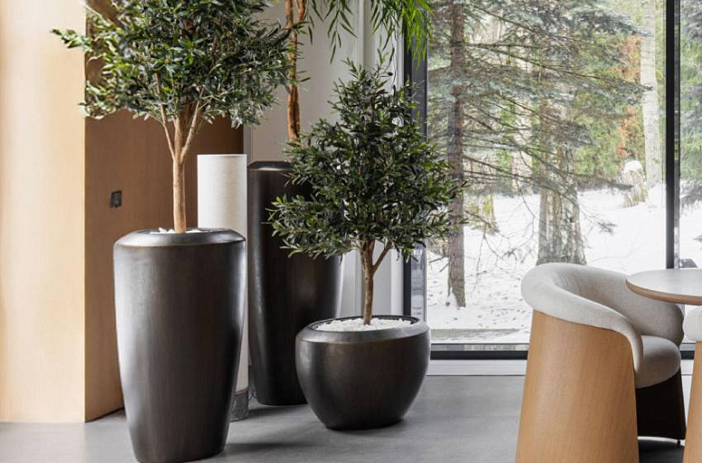 Визуальная иерархия растений в интерьере